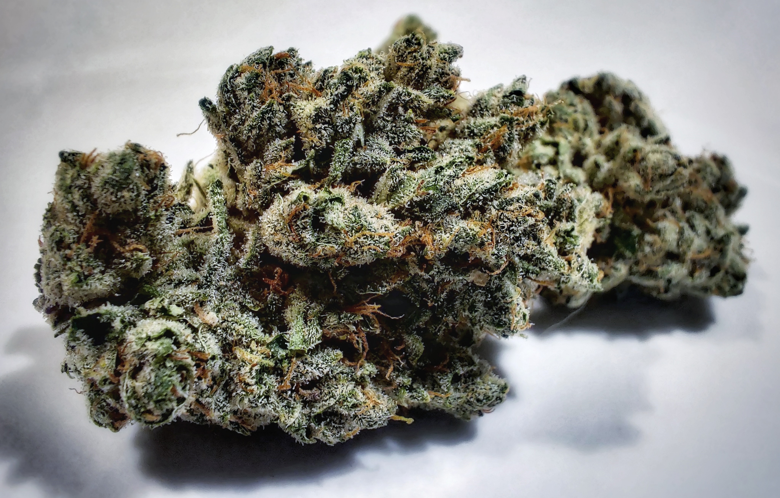 Ice Cream Cake Cannabis Strain: Throw a Party in Your Mind