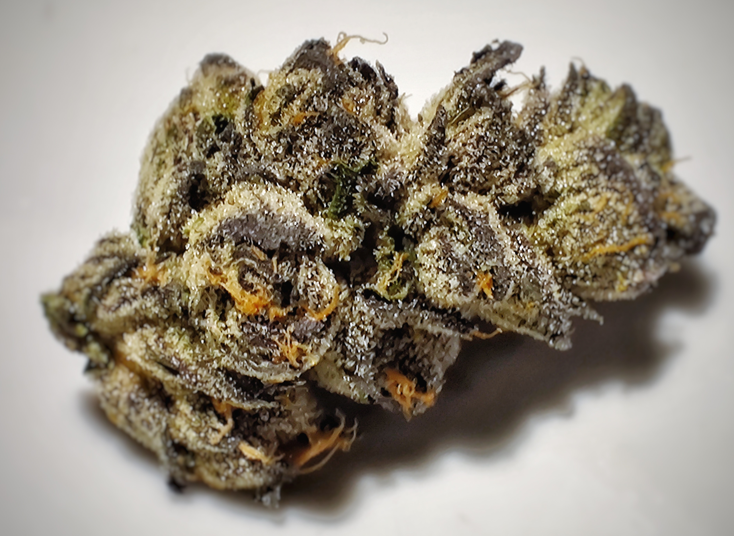 Gelato Cannabis Strain: Sweet, Fruity, and Potent