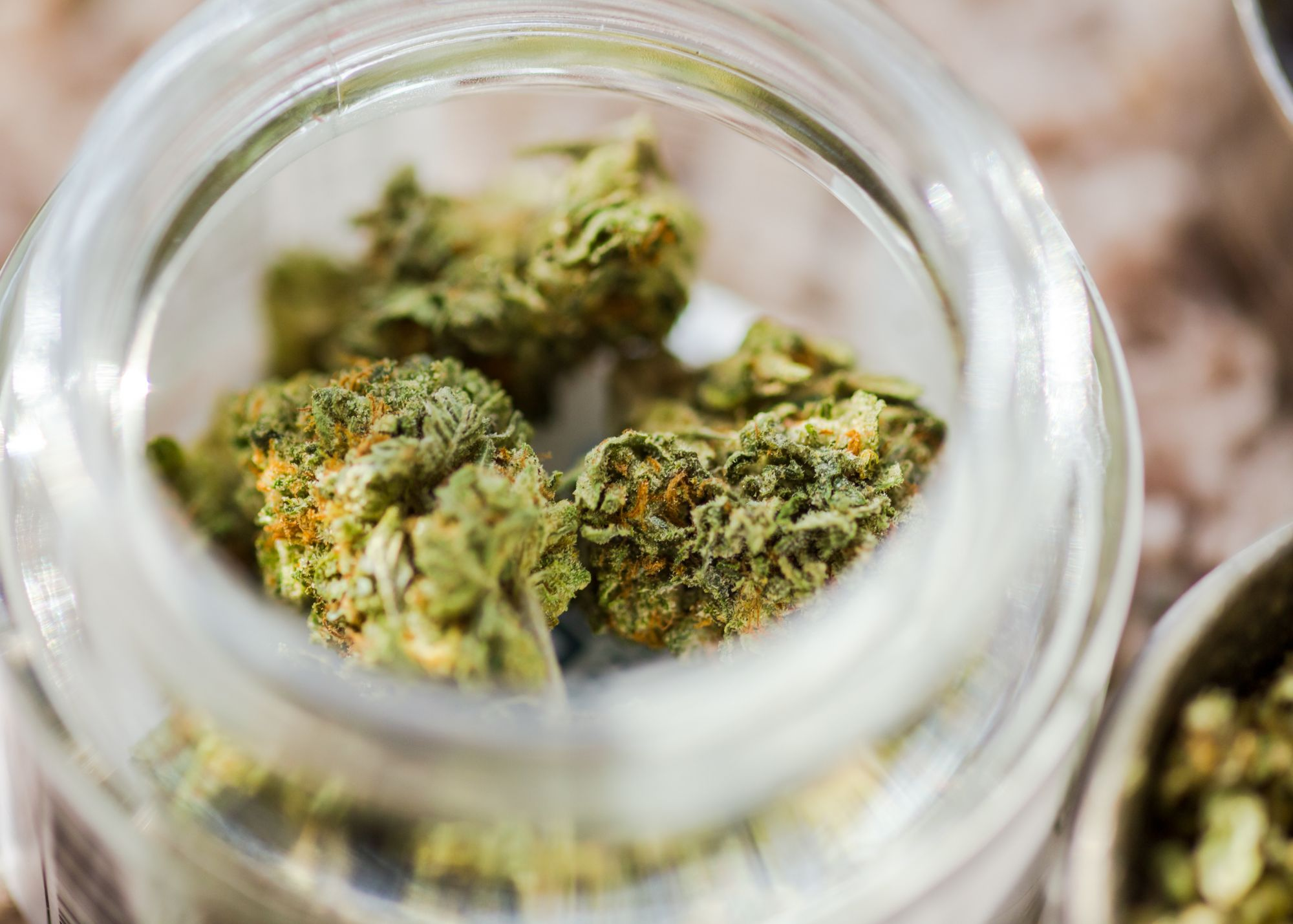 Exotic Cannabis Strains Guide