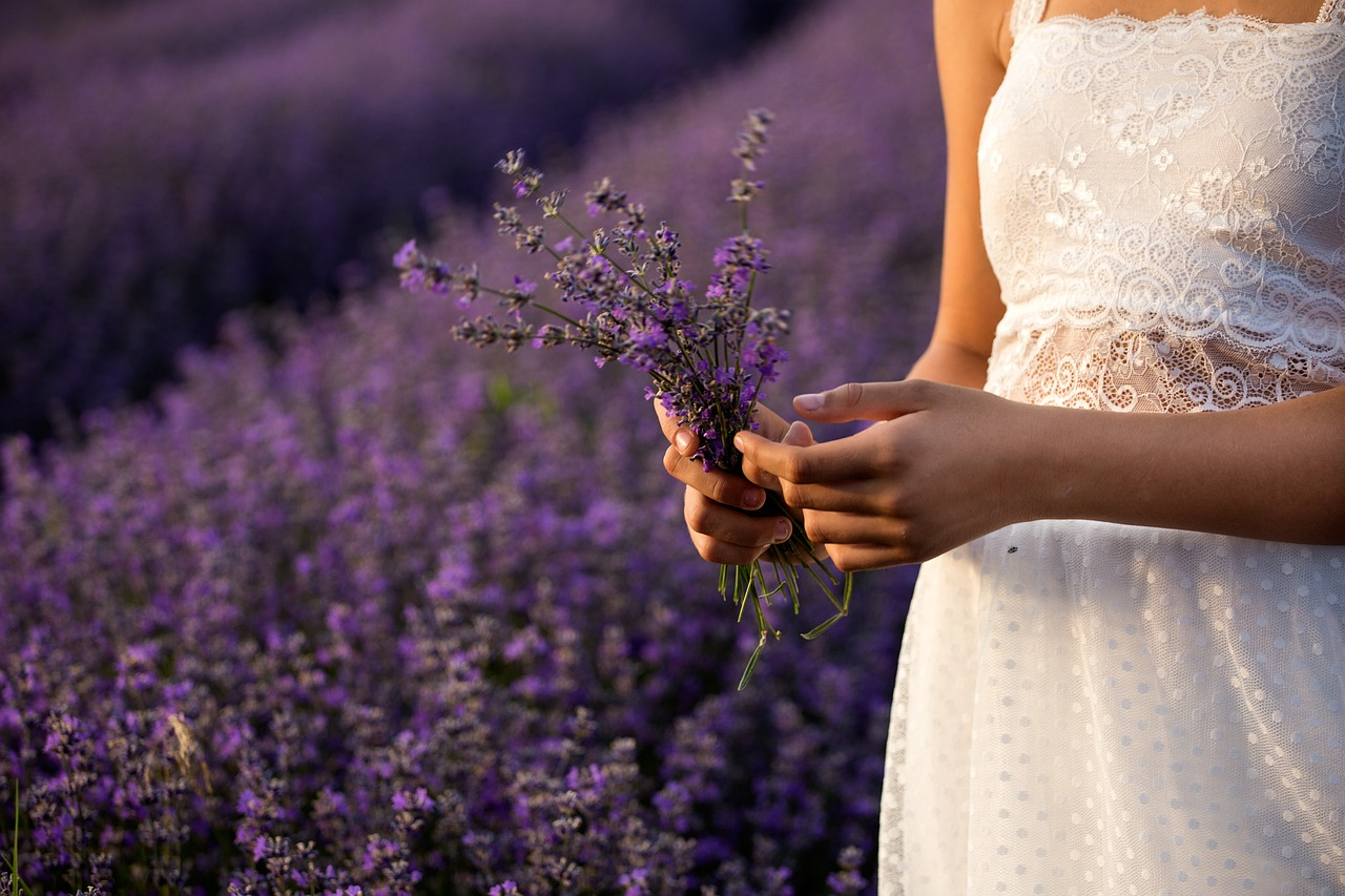 Cultivate Tranquility with a Lavender Garden