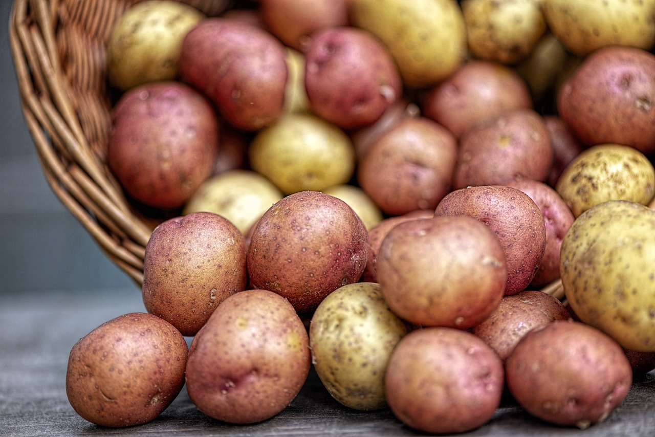 Adding Potatoes to Your Backyard Garden